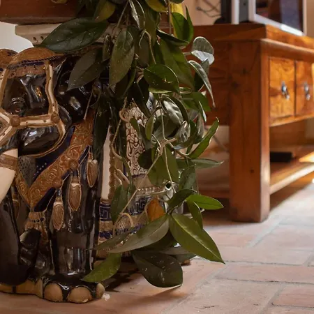 Palazzo Salem M1 Roof Garden דירה טריאסטה