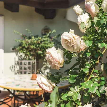 Apartman Palazzo Salem M1 Roof Garden Trieszt